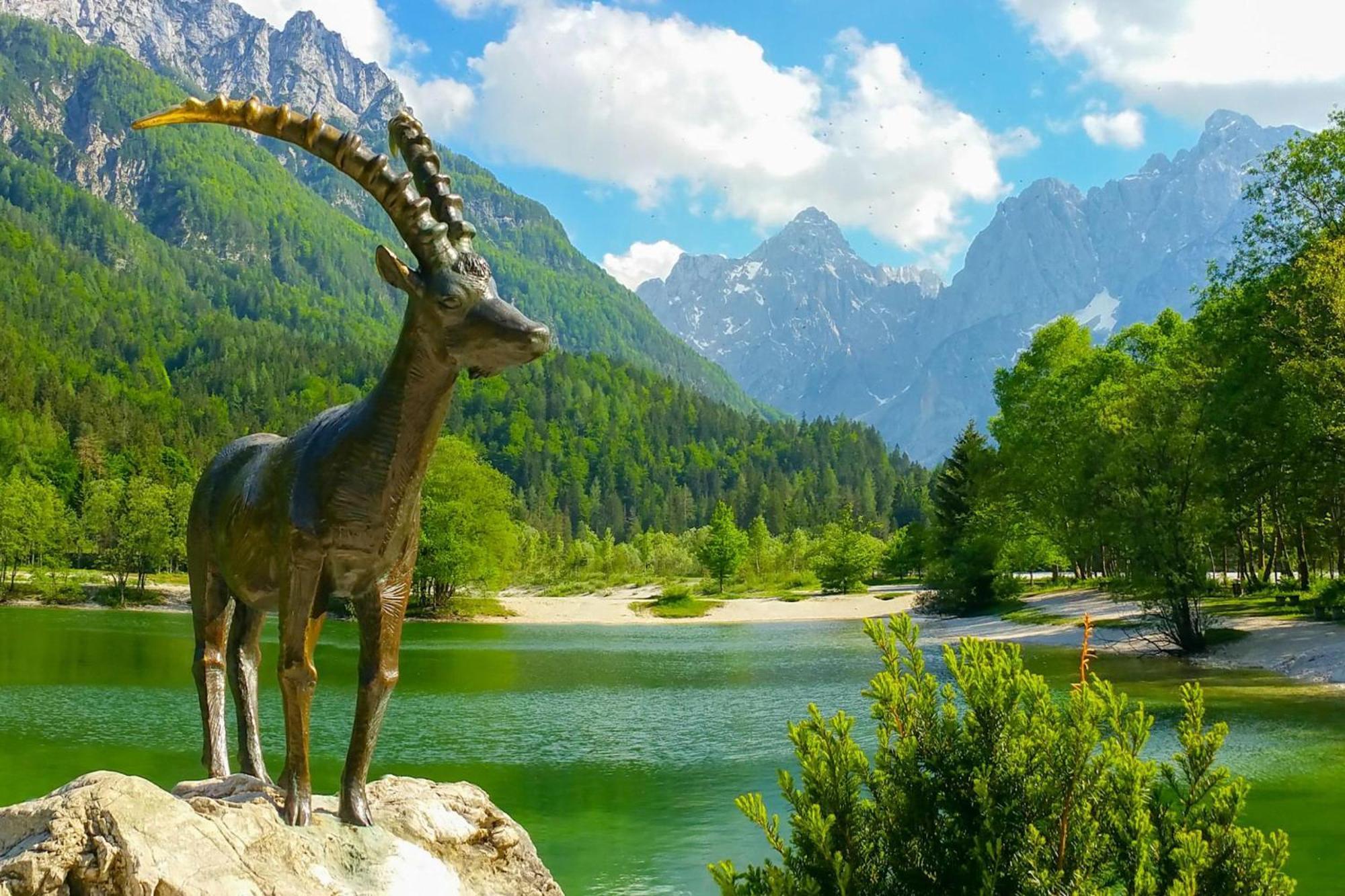 Alpine Retreat Gaja Kranjska Gora - Happy Rentals Kültér fotó